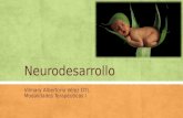 Neurodesarrollo Vilmary Albertorio Vélez OTL Modalidades Terapéuticas I.