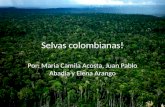 Selvas colombianas! Por: Maria Camila Acosta, Juan Pablo Abadia y Elena Arango.