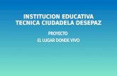 INSTITUCION EDUCATIVA TECNICA CIUDADELA DESEPAZ PROYECTO EL LUGAR DONDE VIVO.