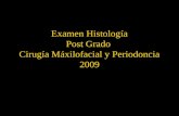 Examen Histología Post Grado Cirugía Máxilofacial y Periodoncia 2009.