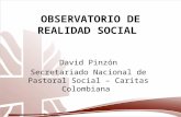 OBSERVATORIO DE REALIDAD SOCIAL David Pinzón Secretariado Nacional de Pastoral Social – Caritas Colombiana.