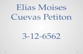 Elias Moises Cuevas Petiton 3-12-6562. ¿Que defectos ves en la pagina actual ?