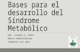 Bases para el desarrollo del Síndrome Metabólico DRA. CLAUDIA G. FIRPO MÉDICA ENDOCRINÓLOGA CONGRESO FLEG 2015.
