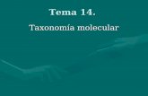 Tema 14. Taxonomía molecular. Filogenia molecular basada en marcadores moleculares: el ADNr procariota, 16S, 23S; el ADNr eucariótico: 18S, 28S y 5,8.