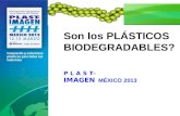 Son los plásticos Biodegradables? Son los PLÁSTICOS BIODEGRADABLES?s plásticos BiodegradaI P L A S T- IMAGEN MÉXICO 2013 dables?