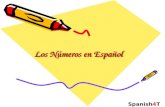 Los Números en Español Spanish4Teachers.org. Los números en Español  7 minute video presentation.