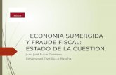 ECONOMIA SUMERGIDA Y FRAUDE FISCAL: ESTADO DE LA CUESTION. Juan José Rubio Guerrero. Universidad Castilla-La Mancha.