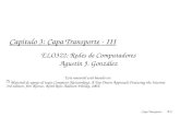 Capa Transporte3-1 Capítulo 3: Capa Transporte - III ELO322: Redes de Computadores Agustín J. González Este material está basado en:  Material de apoyo.