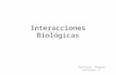 Interacciones Biológicas Profesor: Miguel Contreras V.
