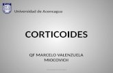 CORTICOIDES QF MARCELO VALENZUELA MIOCOVICH Universidad de Aconcagua.