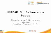 UNIDAD 3: Balanza de Pagos Moneda y políticas de ajuste Camilo Jiménez M.A.