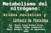 Dra. María Irene Balbín Arias Dr. Ramiro Valdés Carmenate Dpto. Química, Fac. de Agronomía UNAH.