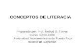 CONCEPTOS DE LITERACIA Preparado por: Prof. Nelliud D. Torres Curso: GEIC-1000 Universidad Interamericana de Puerto Rico Recinto de Bayamón.