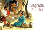 En pleno clima de Navidad, la Liturgia presenta A LA FAMILIA DE NAZARET, como modelo de la familia cristiana. Las lecturas describen una triple familia: