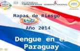 Dengue en el Paraguay Mapas de Riesgo Año 2014. PARAGUAY, ÁREAS ENDÉMICAS Y NO ENDÉMICAS, 2014 Escenarios epidemiológicos identificados a partir de las.