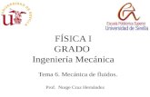 FÍSICA I GRADO Ingeniería Mecánica Prof. Norge Cruz Hernández Tema 6. Mecánica de fluidos.