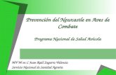 Prevención del Newcastle en Aves de Combate Programa Nacional de Salud Avícola MV M en C Juan Raúl Zegarra Valencia Servicio Nacional de Sanidad Agraria.