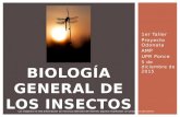 1er Taller Proyecto Odonata AMP UPR Ponce 5 de diciembre de 2015 BIOLOGÍA GENERAL DE LOS INSECTOS Las imágenes en esta presentación son recursos obtenidos.