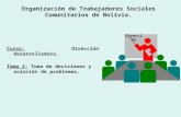 Curso: Dirección desarrolladora. Tema 2: Toma de decisiones y solución de problemas. Dirección Organización de Trabajadores Sociales Comunitarios de Bolivia.