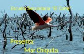 Escuela Secundaria "El Corte” Presenta: Mar Chiquita.