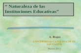 “ Naturaleza de las Instituciones Educativas” A. Rojas UNIVERSIDAD CATOLICA DE EL SALVADOR Marzo 2012.