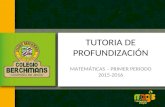 TUTORIA DE PROFUNDIZACIÓN MATEMÁTICAS – PRIMER PERIODO 2015-2016.