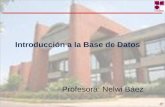 Introducción a la Base de Datos Profesora: Nelwi Báez.