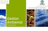 Gestion Ambiental Derecho Ambiental Universidad de Quintana Roo.