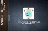 Municipio de Tierra Blanca ESTRATEGIAS MUNICIPALES DE DESARROLLO.