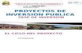 FASES PROYECTO.pptx