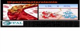 Hipercolesterolemia Familiar (HF)