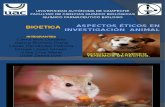 Aspectos Éticos en Investigación Animal