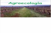 Conceptos de Agroecologia Clase 3