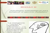 Diapositivas Modulo III Estrategias (1)