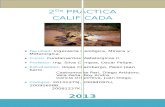 (2013-II) 2da Practica Hecha (Funda II)