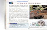 Circulación Animales Nuevas Ciencias