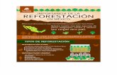 Reforestacion Mexico