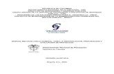 DNP - Manual Metodologico Identificacion Preparacion y Evaluacion 2004