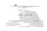 HECHO SOCIAL. emeli durkeim.pdf