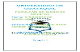 Universidad de Guayaquil Expo Individual