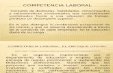 Diapositiva Marco Teorico - Competencias Laborales.pptx