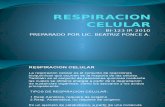 Respiracion Celular