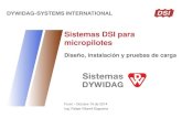 Micropilotes DSI