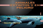 Animales Extintos y en Peligro