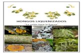 HONGOS_ LIQUENIZADOS