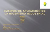 1.6 Campos de Aplicación de La Ingeniería Industrial (2)