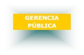 GEPU - UNMSM - Gerencia Pública