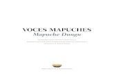 Voces Mapuches