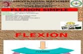 Flexion Simple - flecion