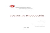 COSTOS DE PRODUCCIÓN